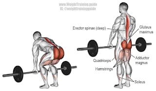 Felhúzás (deadlift) gyakorlat