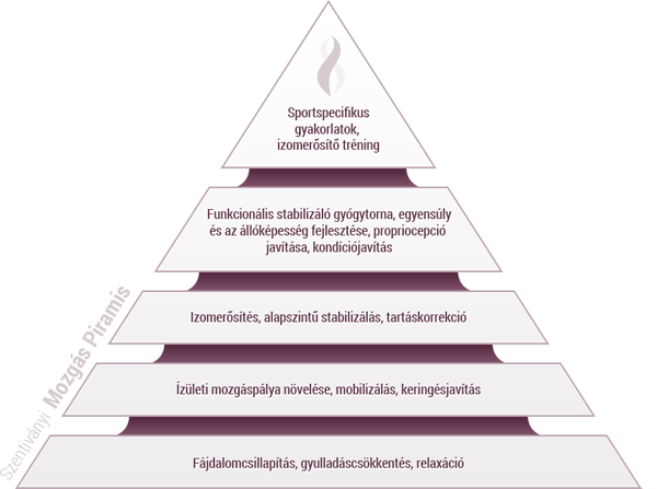 mozgáspiramis, a mozgásklinika kezelési koncepciója